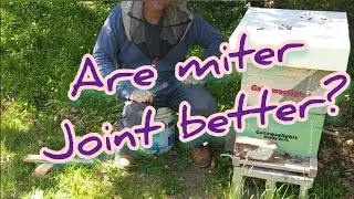 Is a miter joint better? Also, small cluster update. Beekeeping