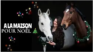 ON REALISE UN RÊVE - LES CHEVAUX À LA MAISON || PARTIE 2🫶🎄