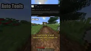 You can Auto Swap Tools in the Mod?!