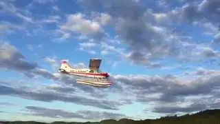 Stm beaver flown from boat
