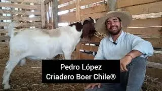 2026 Nuevo año - Nuevo enfoque 