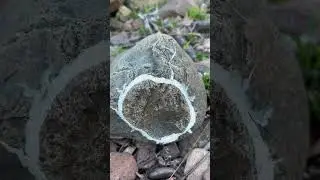 Ultra Rare Rock Formation 🪨⭕️ #nature #random #weird #rocks #new #beach