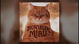 MONTAGEM MIAU | (1 Hour)