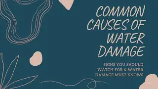 Common Causes Of Water Damage (Signs To Look For & Water Damage Must Knows)
