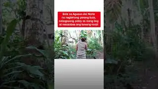 Ang misteryosong pagkawala ni Jake Kobe | Kapuso Mo, Jessica Soho