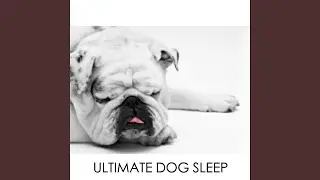 The Best Dog Sounds