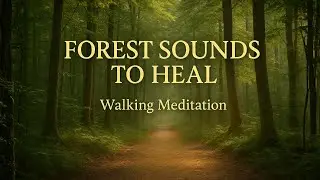Walking Meditation in the Forest 🌲 Mindful Sounds for Deep Presence & Peace