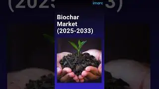 Biochar Market Report 2025-2033 #marketresearch #marketresearchreport #industryanalysis