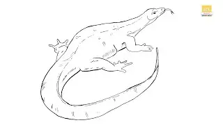 How to Draw A  Monitor Lizard II monitor lizard  drawing easy II part 01 II #artjanag