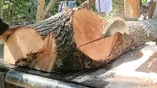 Istimewa ‼️ satu potong kayu mindi hasilkan 1,5 juta