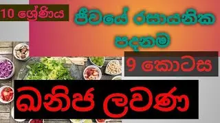 10 ශ්&zwj;රේණිය ජීවයේ රසායනික පදනම ඛනිජ ලවණ Sinhala medium Grade 10 Biology Lesson 1 Minerals