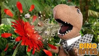 The Sneeze | Dino Bites | Kids TV Show