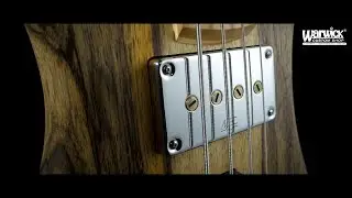 Warwick Custom Shop Masterbuilt - Streamer CV - Black Korina Body - Natural Oil Finish #17-3522