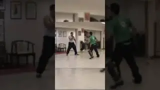 Shifu Hudson Willian praticando com aparadores #wingchun #kungfu  #artesmarciais #defesapessoal