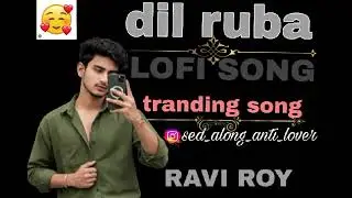 Dil Ruba (Lofi Version) | Heart Touching Lofi Mix | Trending Sad Song 2026 | #dilruba#lofi#tranding