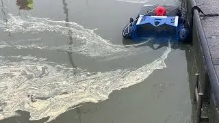 DPOL&reg; in Italy | Efficient Pollen Removal in Marina Waters
