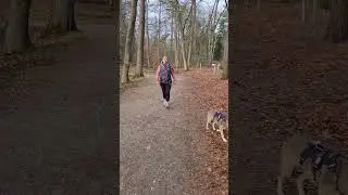 dogtrekking mit Lisa in 