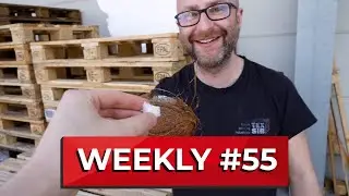 Was ist FlashTEX? Und wer hat die Kokosnuss geklaut? - Weekly #055