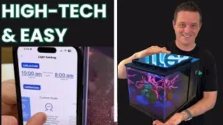 BEST Desktop SHRIMP Aquarium