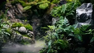 RAINFOREST PALUDARIUM - 4K CINEMATIC - GREEN AQUA