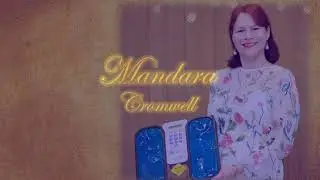 10th Anniversary Introduction