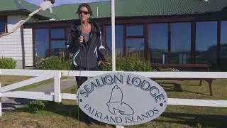 Falkland Islands-Sea Lion Island