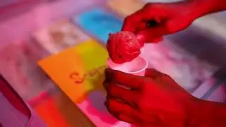 SCOOZY PREMIUM ICE CREAM TRAILER KHAMMAM