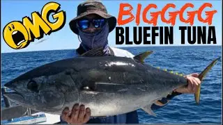 Bluefin Tuna Fishing off South Australia’s Wild Far West Coast, Part 1.