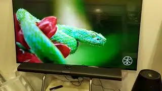 Немного о xiaomi mi art tv 4 65 mural