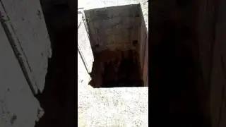 Timmy fell down a WHAT?