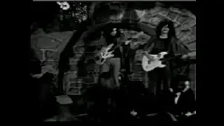 T.REX RIDE A WHITE SWAN