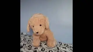 Item Drop