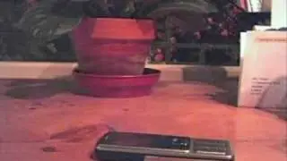 Pick It Up!