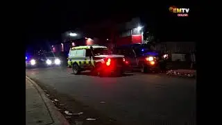 ОЖИВЛЕННЫЕ ЗЕЛЕНЫЕ АНГЕЛЫ