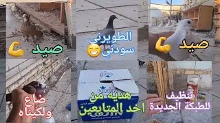 صيد زوج💪اجتنه هديه 😘الجينه ضاع😥طبكَة جديدة 💕الطويرني خبلني😁الاحمر الصغير ضاع بس لكَيناه🐣تنظيف الخانه
