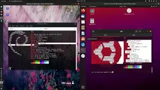 MX Linux 21 vs Ubuntu 21.04