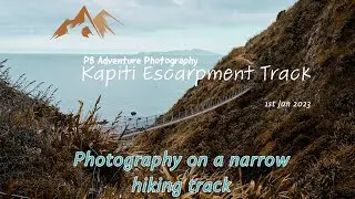 Kapiti Escarpment Track | Landscape photography