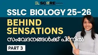 SSLC Biology 2025&ndash;26 | Behind Sensations| Part3|Exam oriented Class