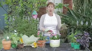 How to Prevent Frost Damage to Potted Plants