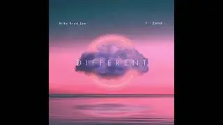 Mike Brad Lee feat. T-Zank - Different