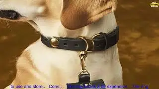 1005005875508135 Personalised Wedding Leather Ring Box For Proposing Dog Collar Ring Bo