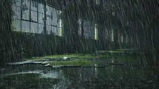 Perfect Rain Background | Heavy Thunderstorm Sounds Live for Focus and Productivity