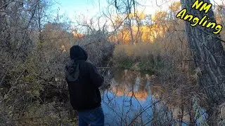 BEST LURE for TROUT (Panther Martin)