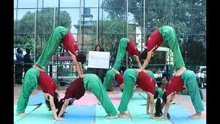 Celebrating International Yoga Day 2023 | Elite Grand School