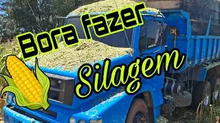 FAZENDO SILAGEM COM MB1620 ARQUEADO E SIMPLES 6X2 #589