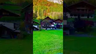 Travel Through Grindelwald 🇨🇭 | Swiss Alps in Motion #Shorts