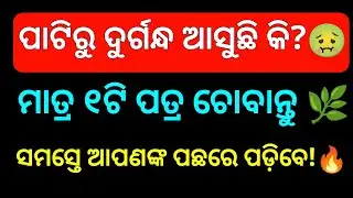 Odia GK Quiz || General Knowledge Odia || Odia GK Questions And Answers 2026