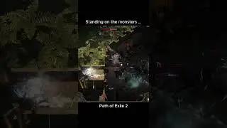 Standing on the monsters in Path Of Exile 2