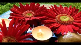 DIY Floating candle | Gerbera, vanilla water candle festive decor for xmas, valentines, diwali