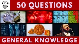 General Knowledge Quiz Trivia | 50 Questions | Do You Know Pub Quiz #quiz #trivia